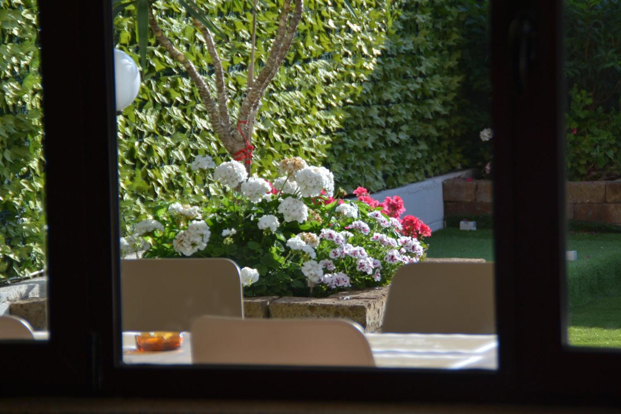 Hotel Bel Sogno 里米尼 外观 照片