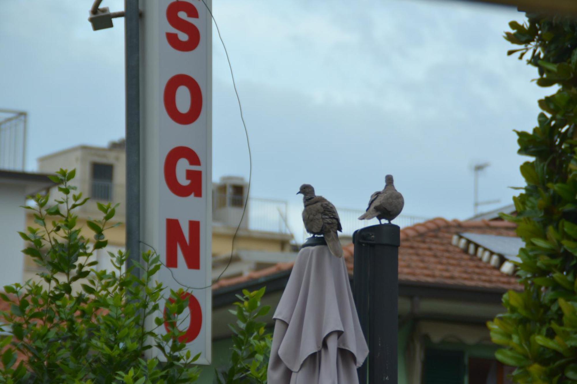 Hotel Bel Sogno 里米尼 外观 照片